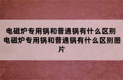 电磁炉专用锅和普通锅有什么区别 电磁炉专用锅和普通锅有什么区别图片